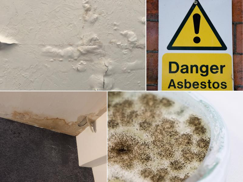 Mold Removal Winnipeg