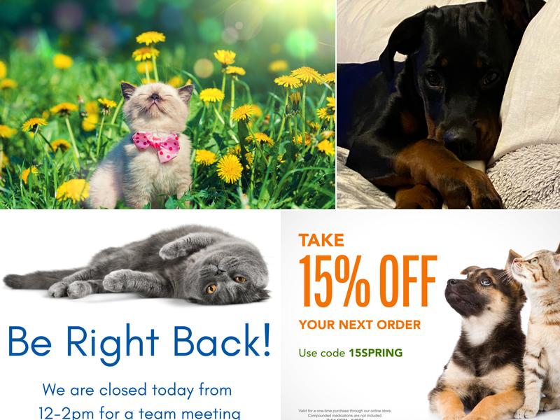 Chili Animal Care: Williamson J DVM