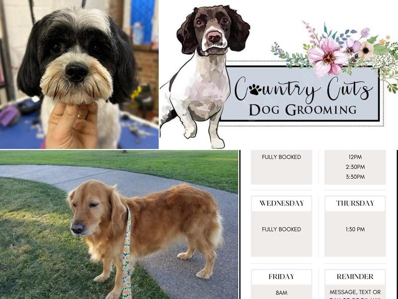 Country Cuts Dog Grooming