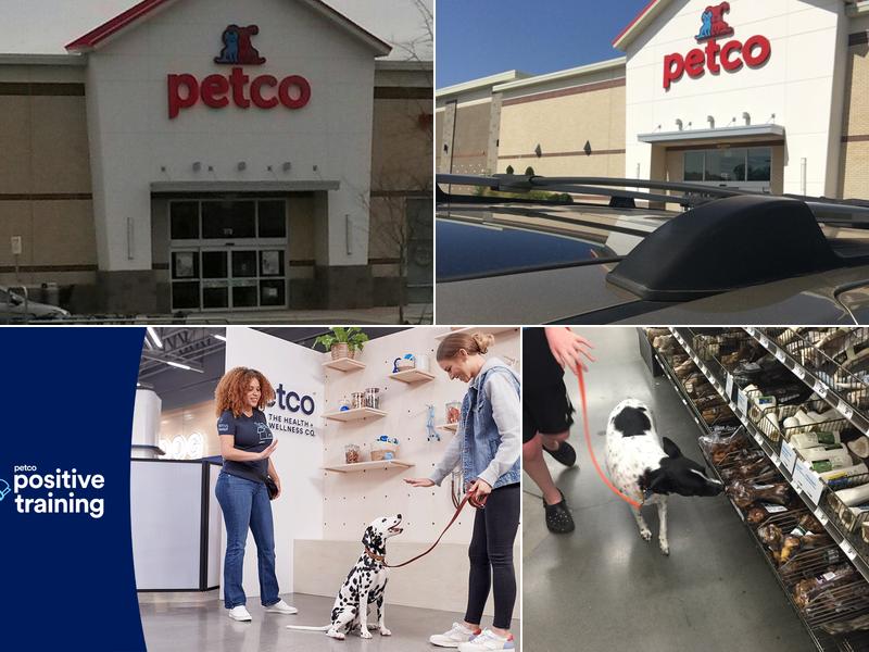 Petco Dog Training