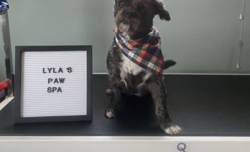Lylas Paw Spa 45 High St, North Sydney Nova Scotia B2A 2A5