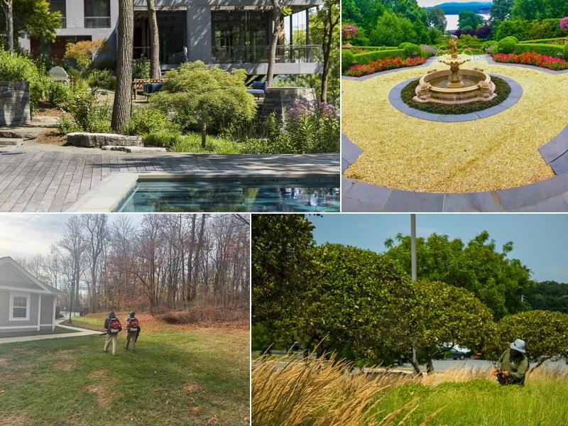 Maple Leaf Associates Inc.