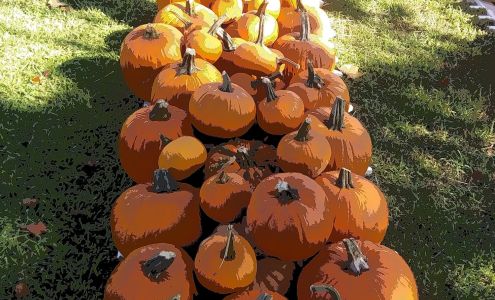 Rays’s Laundry & Drycleaners