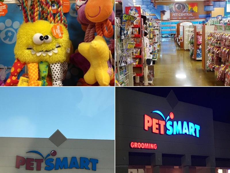 PetSmart Dog Training