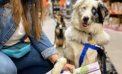 Sitters4Critters 321 Sycamore Ln, Blandon Pennsylvania 19510