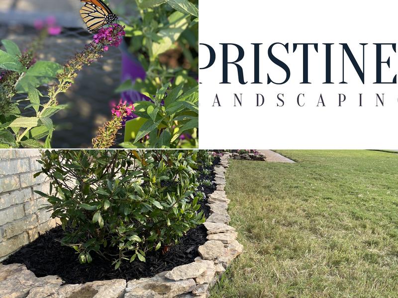 Pristine Landscaping