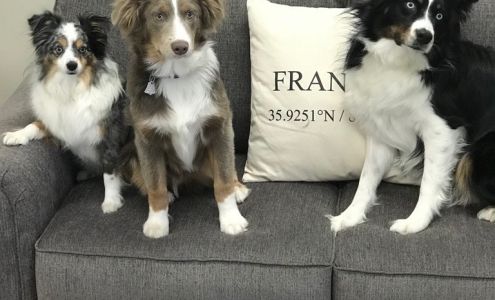 Shellnut Insurance and Associates LLC