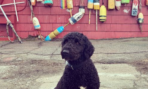 Boston Green Realty, LLC.