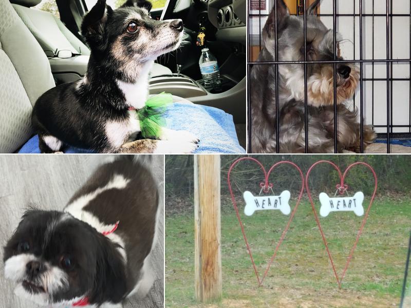 Heart To Heart Grooming Salon