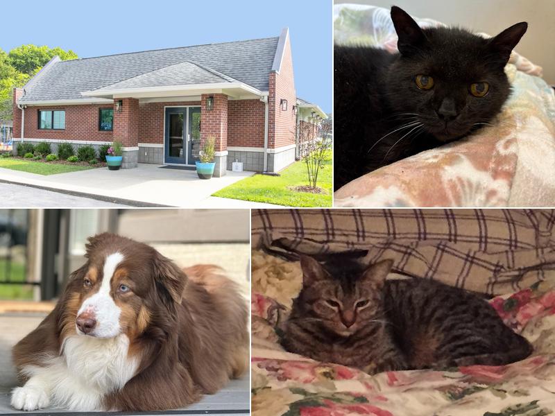 Middle Tennessee Veterinary Center
