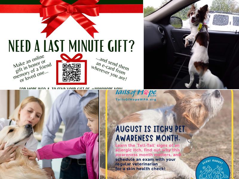 Tails of Hope, Inc. W PA