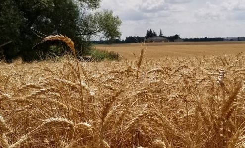 Nieuwland Feed & Supply Ltd Listowel