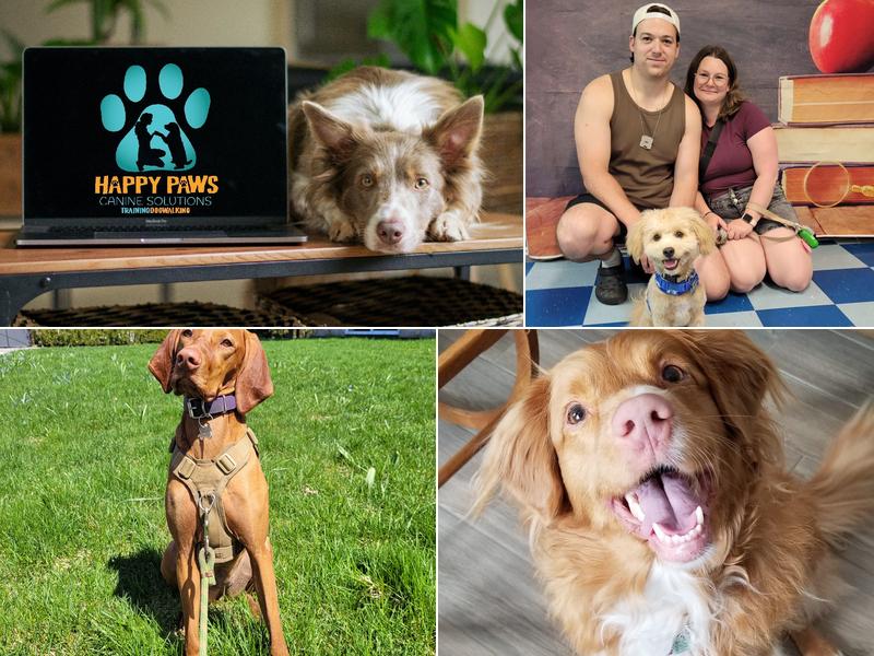 Happy Paws Canine Solutions