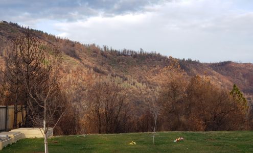 Skyway Memorial Park