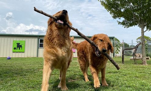 Aqua Animal Care Center