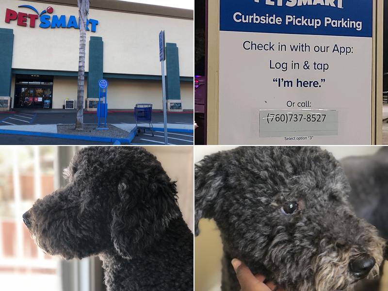 PetSmart Doggie Day Camp