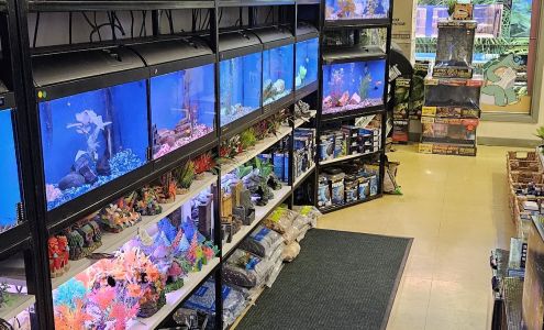 Animalerie Acton Acton Vale