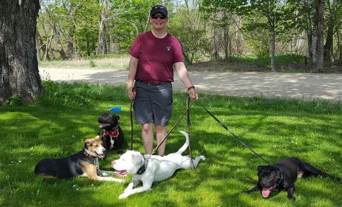 Kompletely K-9 Dog Training and Rehabilitation 248 Choate Rd, Montville Maine 04941