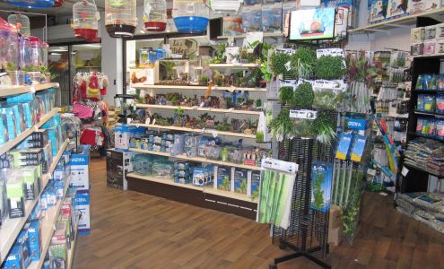 Animalerie Boutique d'Animaux Natlou Chandler