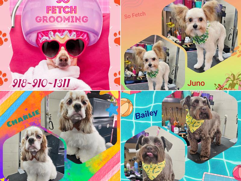 So Fetch Grooming