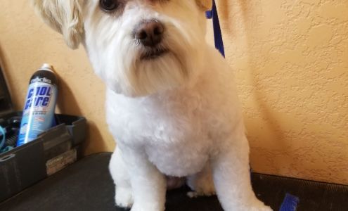 JayVs Unlimited Grooming 2420 Yellowstone Dr, Yukon Oklahoma 73099