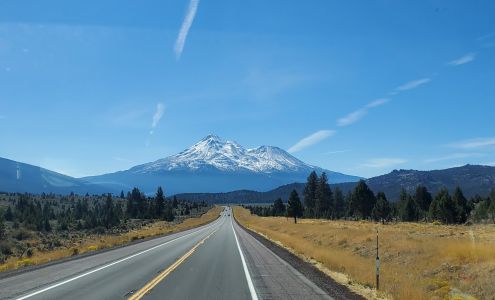 Plant Sciences Inc Macdoel