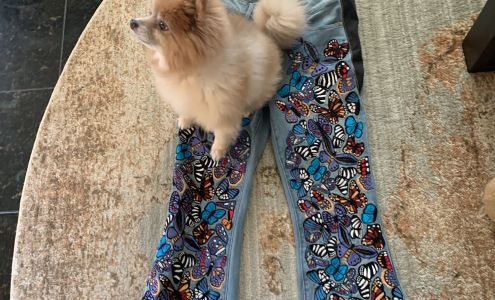 Be Simon's Tailoring