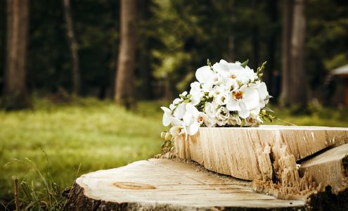 Chambers & Grubbs Funeral Home Florence