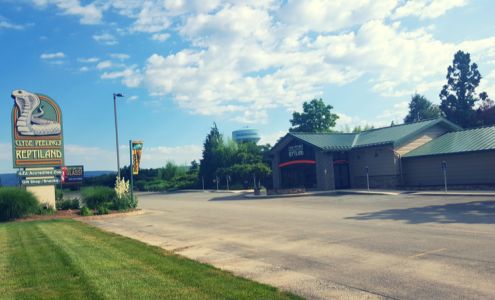 Clyde Peeling's Reptiland Allenwood