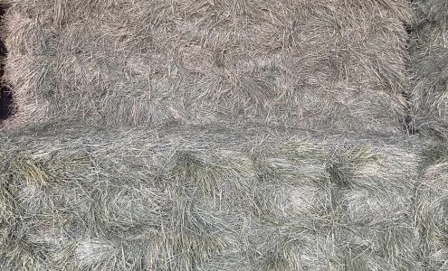 Maul Feed & Seed Pampa