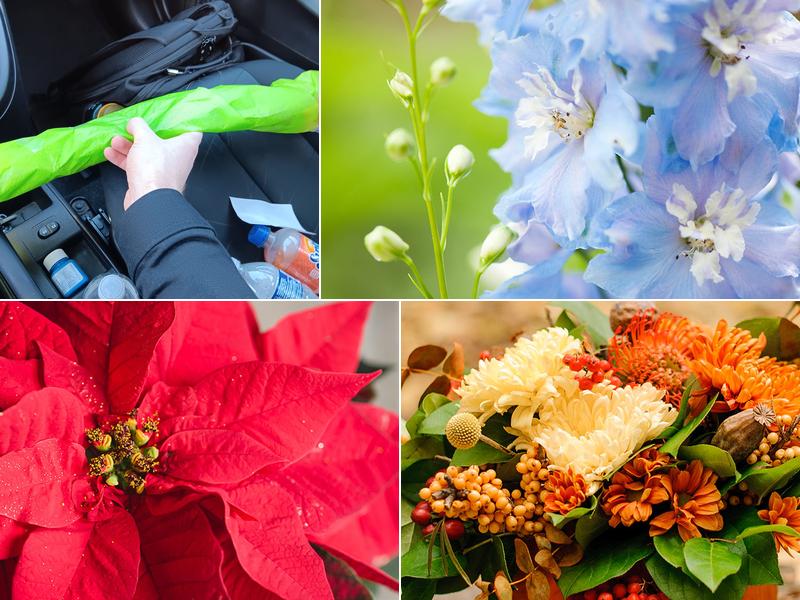 Schnucks Evansville Floral