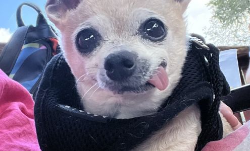 Loving Care Pet Cremation