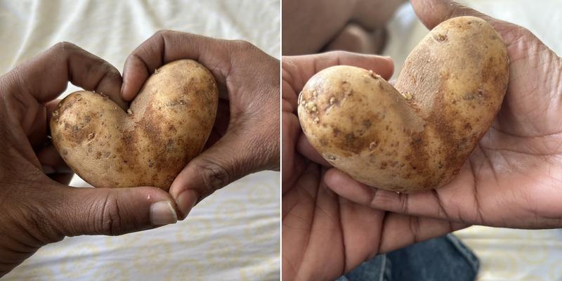 Fielding Dry Cleaners