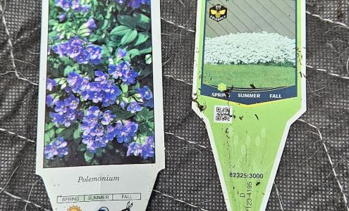 BI-MART #607 - NORTH BEND