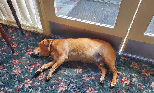 O'Donnell Funeral Home, Inc.