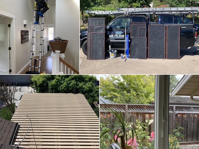 Salgado The Window Washer