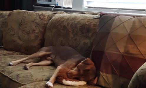 R O Levy Home For Funerals Batesburg-Leesville