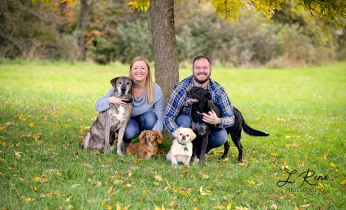 Tiffany's Dog Sitting 5001 Juniper Dr, Roeland Park Kansas 66205