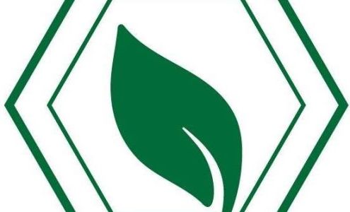 Elemental Cremation & Burial