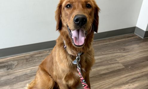 Brighton Animal Hospital