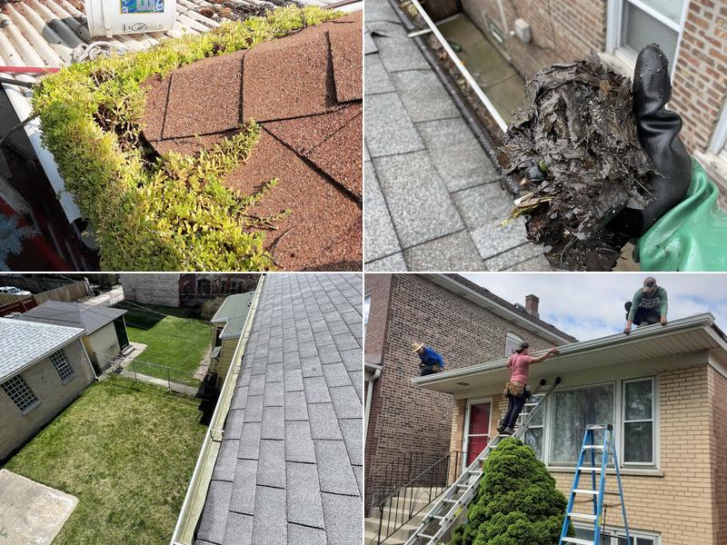 Jerry Cleans Gutters Windows & More