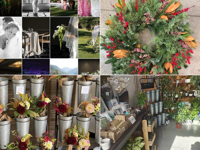 Love and Lupines Floral Design