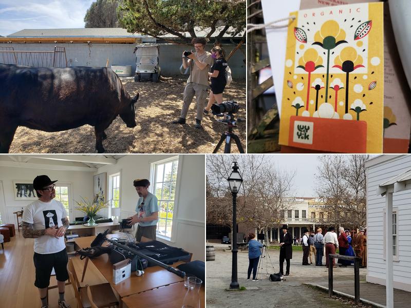 Tiny Octopus Productions