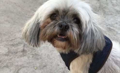 Francine’s pet care Bonaire Cir, Stockton California 95210