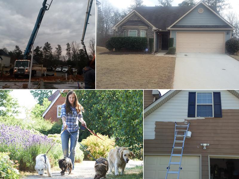 Critter Sitters, Inc.