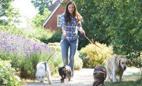 Critter Sitters, Inc.