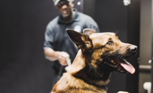 Custom Canine Unlimited