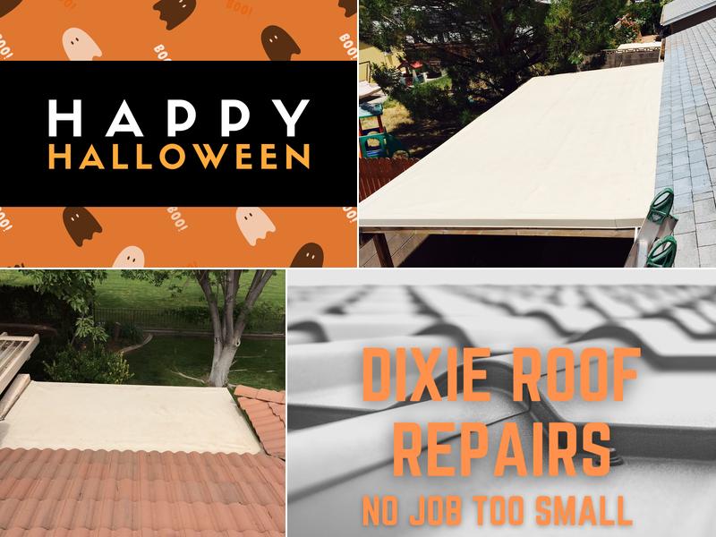 Dixie Roof Repairs
