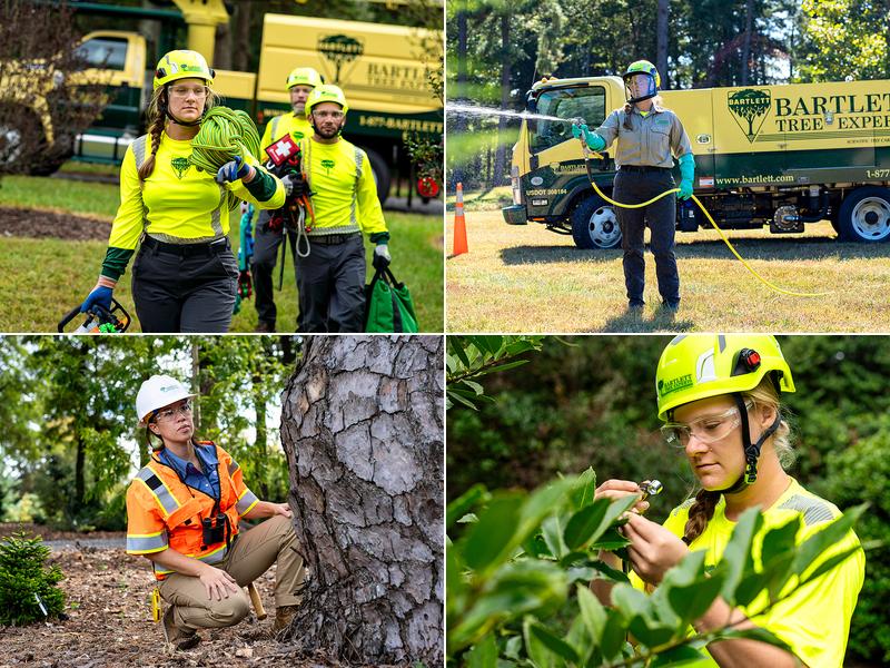 Bartlett Tree Experts