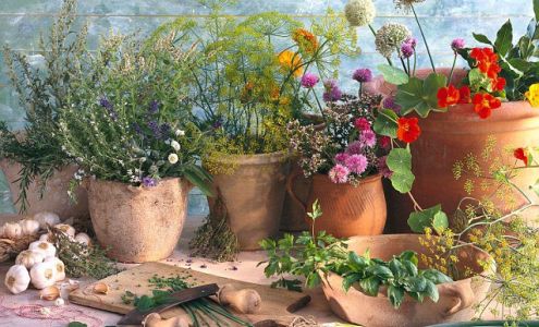 Garden Valley Vitamin Center